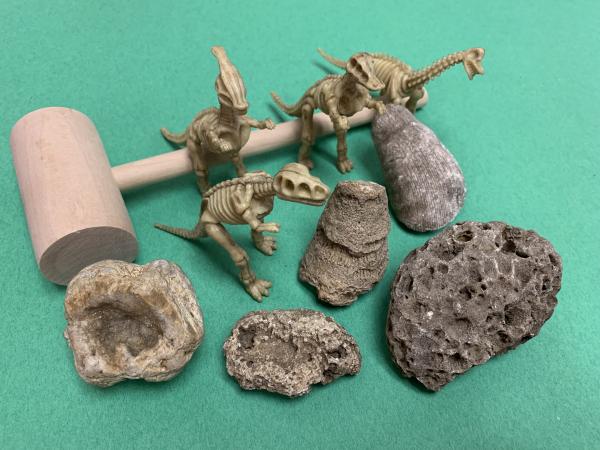 Image for event: Fossil Dig